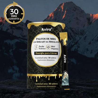 Barritas de Miel Dorada Shilajit del Himalaya Puro