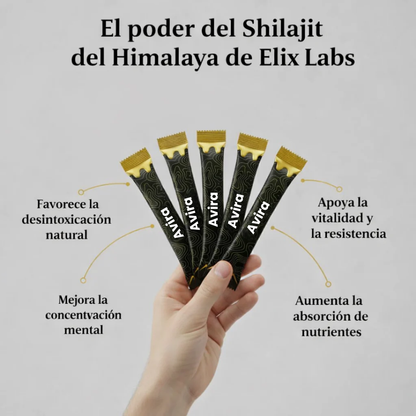 Barritas de Miel Dorada Shilajit del Himalaya Puro