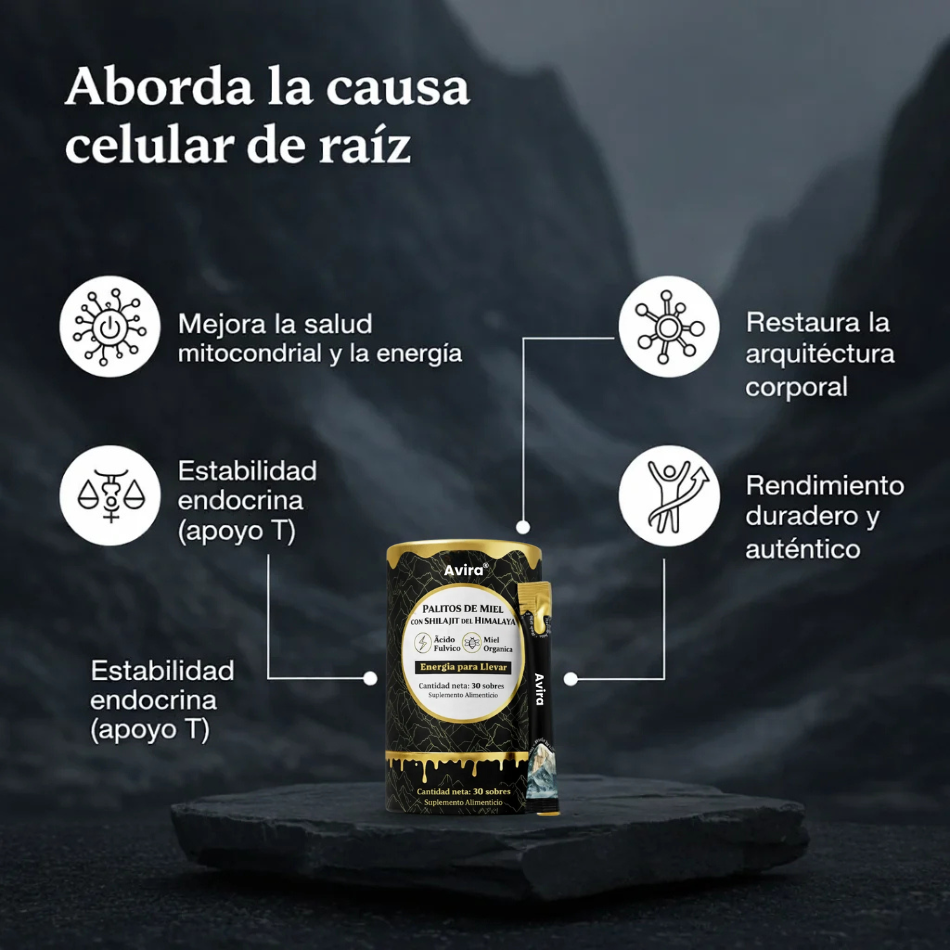 Barritas de Miel Dorada Shilajit del Himalaya Puro