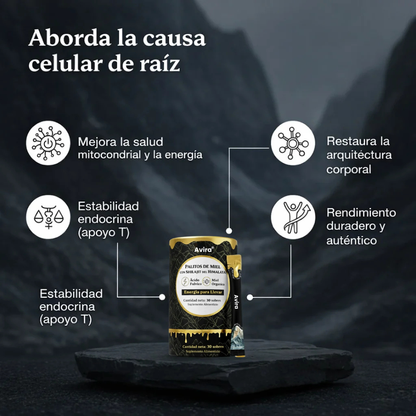 Barritas de Miel Dorada Shilajit del Himalaya Puro